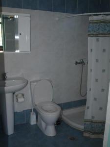 a bathroom with a toilet and a sink and a shower at Andreas Apartments in Symi