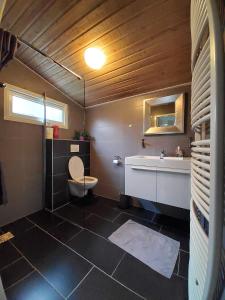ein Badezimmer mit einem weißen Waschbecken und einem WC in der Unterkunft Vakantiehuis Dartien in Exloo