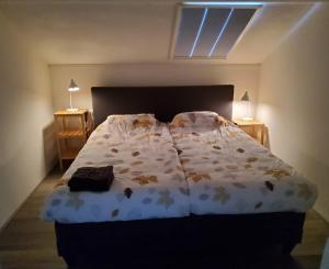 1 cama en un dormitorio con 2 lámparas y una ventana en Vakantiehuis Dartien, en Exloo