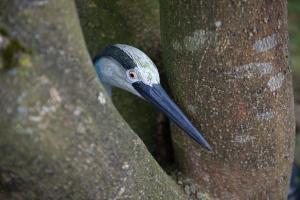 Ảnh trong thư viện ảnh của L'Heure Bleue gîtes et chambres d'hôtes ở Givenchy-en-Gohelle