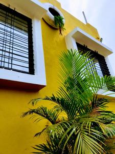 a yellow building with a window and a palm tree at White smoke villa in Igatpuri +12 photos