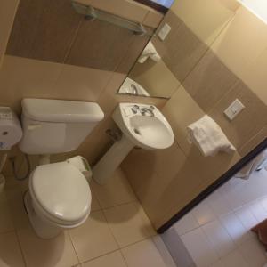 a bathroom with a toilet and a sink at Hospedaje San Lorenzo in Corrientes