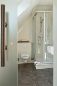 ein Bad mit einem WC und einer ebenerdigen Dusche in der Unterkunft Land-gut-Hotel Allerhof in Frankenfeld
