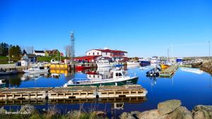 a group of boats are docked in a harbor at Hôtel-Motel Vagues Vertes in Perce