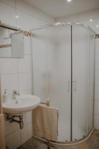 ein Bad mit einem Waschbecken und einer Dusche in der Unterkunft Peter Lamster Top2 in Frauenkirchen