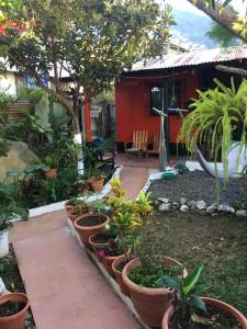 a garden with a bunch of plants in pots at Hotel y Restaurante Playa Linda in San Pedro La Laguna