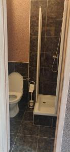 a small bathroom with a toilet and a shower at Ubytování u Kováře in Ústí nad Labem +24 photos