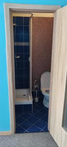 a bathroom with a shower and a toilet at Ubytování u Kováře in Ústí nad Labem