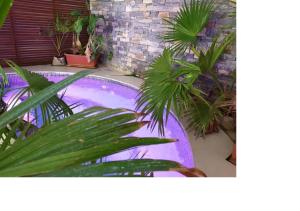 a swimming pool with palm trees in a yard at Ecologe in Abidjan