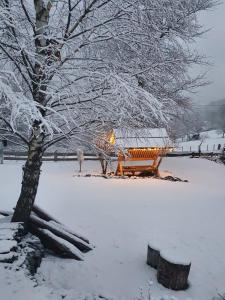 een parkbank bedekt met sneeuw naast een boom bij Wiślański Domek z Bajki in Wisła