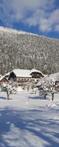 un edificio en la nieve con árboles delante en Haus Binder, en Weissensee