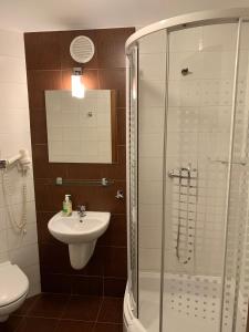 a bathroom with a shower and a sink and a toilet at Apartamenty Arka Medical Spa **** in Kołobrzeg