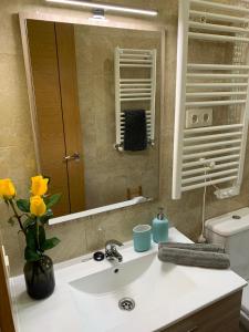 a bathroom sink with a vase of flowers and a mirror at Puerto De la Cruz in Madrid