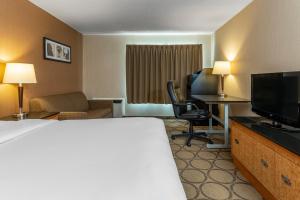 Comfort Inn Prince Albert