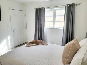 Stylish & Newly-Renovated Suites near Las Olas