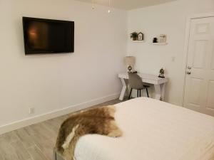 Gallery image of Stylish & Newly-Renovated Suites near Las Olas in Fort Lauderdale