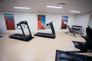 Fitness centrum a/nebo fitness zařízení v ubytování The Holman Grand Hotel