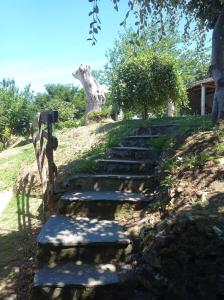 un conjunto de pasos de piedra con una jirafa en el fondo en Apartamentos Rio Eo, en San Tirso de Abres