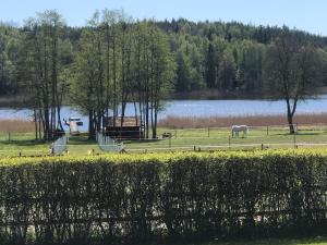 Gallery image of Nice holiday house at horse farm with lake and sauna in Hölö