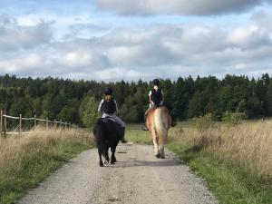 Hosté ubytování Nice holiday house at horse farm with lake and sauna + 14 fotografií