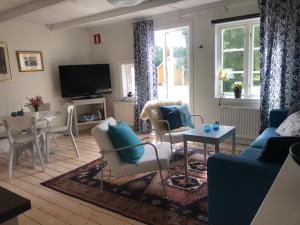 TV a/nebo společenská místnost v ubytování Nice holiday house at horse farm with lake and sauna