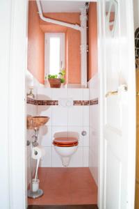 a bathroom with a toilet and a window at Altstadt Charme in Augsburg +7 photos