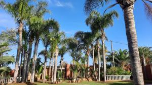 une rangée de palmiers devant une maison dans l'établissement Palmeraie skhirat 2, à Skhirat