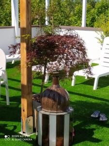 Kristalex Pet Family Hotel