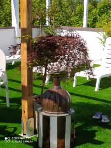 een kleine boom in een vaas in een tuin bij Kristalex Pet Family Hotel in Cesenatico