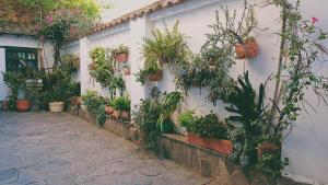 Zahrada ubytování Hostal del Carmen