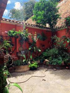 Zahrada ubytování Hostal del Carmen + 4 fotografie