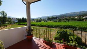 einen Balkon mit Blick auf einen Weinberg in der Unterkunft Quinta do Arieiro in Arouca