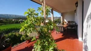 ein Haus mit einer Pflanze auf einer Terrasse in der Unterkunft Quinta do Arieiro in Arouca