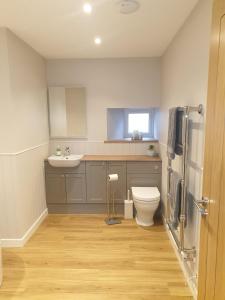 a bathroom with a white toilet and a sink at Congesquoy Barn in Stromness