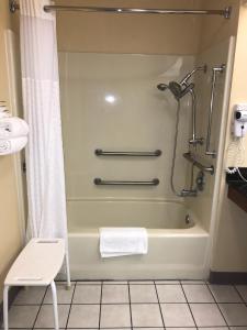 een badkamer met een douche en een bad bij Quality Inn in Bainbridge