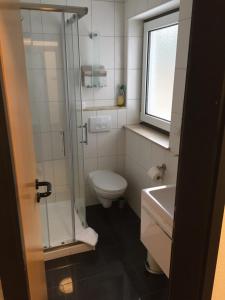uma casa de banho com um chuveiro, um WC e um lavatório. em Ferienwohnungen Lang em Willingen