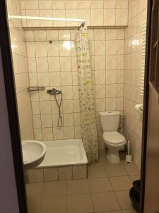 a bathroom with a toilet and a shower and a sink at Relaks Rusinowo in Rusinowo