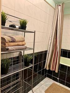 a bathroom with a rack of plants and towels at Apartments on Rynok Square in Lviv
