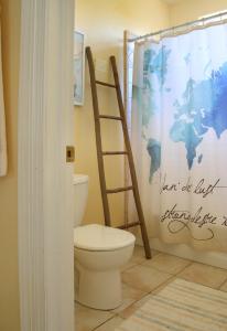 a bathroom with a ladder next to a toilet at Bella Vista Bed and Breakfast in Coloma