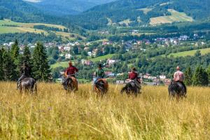 Jahanje poleg turistične kmetije oz. v okolici