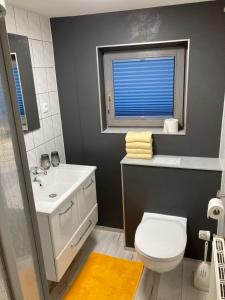 un bagno con un water, un lavandino e una finestra di Seebachhaus a Planneralm
