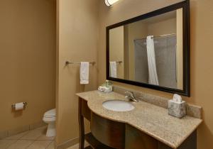Ένα μπάνιο στο Holiday Inn Express Tyler South by IHG