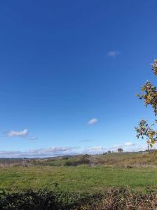 a view of a field with a blue sky at Chambre indépendante à la campagne in Puycalvel Lautrec