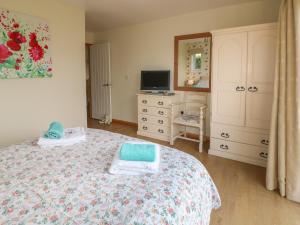 a bedroom with a bed and a tv and a dresser at Clovermead Cottage in Willington