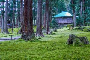 勝山市にあるBBQ可 1日1組限定 貸切別荘 秘密基地 は恐竜博物館まで3km スキージャム勝山まで12kmのギャラリーの写真