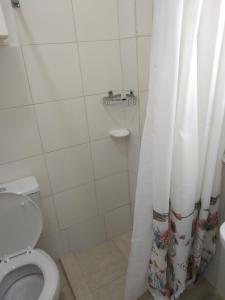 La salle de bains est pourvue de toilettes et d'un rideau de douche. dans l'établissement DEPARTAMENTO CENTRICO FLORIDA AL 500, à Buenos Aires