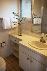ein Badezimmer mit einem Waschbecken und einer Vase mit einer Pflanze in der Unterkunft Napili Village Hotel in Kahana