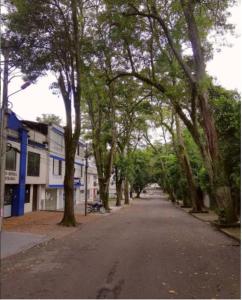 Imagen de la galería de APARTAESTUDIOS AMOBLADOS ARBOLEDA DE CADIZ, en Ibagué 16 fotos más