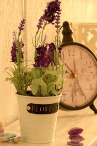 a potted plant on a table next to a clock at Апартамент Fleur in Nesebar