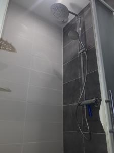 La salle de bains est pourvue d'une douche avec un pommeau de douche. dans l'établissement SETE VUE EXCEPTIONNELLE, à Sète